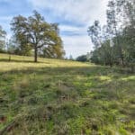 Photo 47 for Latrobe Ranchette