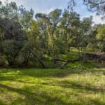 Photo 50 for Latrobe Ranchette