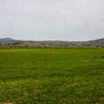 Photo 66 for Stardust Ranch