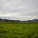 Photo 65 for Stardust Ranch