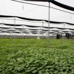 Photo 13 for Stardust Ranch