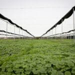 Photo 12 for Stardust Ranch