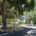 Photo 5 for Oak Tree Farm