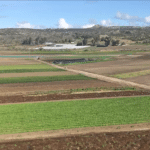 Photo 3 for Stardust Ranch