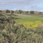 Photo 7 for Stardust Ranch