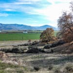 Photo 3 for 9945 N Hwy 3