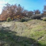 Photo 44 for 9945 N Hwy 3