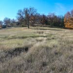 Photo 45 for 9945 N Hwy 3