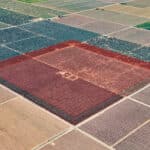 Photo 16 for Avenue 48 & Road 168, Earlimart