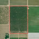 Photo 14 for Avenue 48 & Road 164, Earlimart