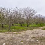 Photo 1 for #1 Sierra Ave & N Kramer St, Earlimart