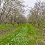 Photo 2 for #2 Sierra Ave & N. Kramer St, Earlimart