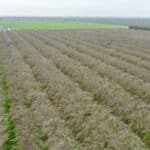 Photo 6 for #1 Sierra Ave & N Kramer St, Earlimart