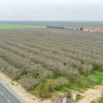 Photo 7 for #2 Sierra Ave & N. Kramer St, Earlimart