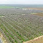 Photo 10 for #2 Sierra Ave & N. Kramer St, Earlimart