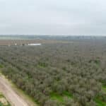 Photo 11 for #1 Sierra Ave & N Kramer St, Earlimart