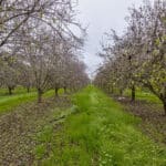 Photo 1 for #1 Sierra Ave & N. Kramer St, Earlimart