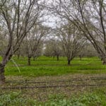 Photo 2 for #1 Sierra Ave & N. Kramer St, Earlimart