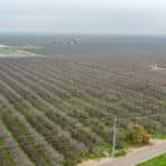 Photo 3 for #1 Sierra Ave & N. Kramer St, Earlimart