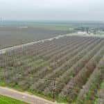 Photo 4 for #1 Sierra Ave & N. Kramer St, Earlimart