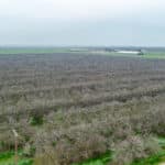 Photo 3 for 12394 Ave 184 Tulare