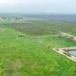 Photo 11 for 12394 Ave 184 Tulare