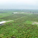 Photo 12 for 12394 Ave 184 Tulare