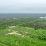 Photo 15 for 12394 Ave 184 Tulare