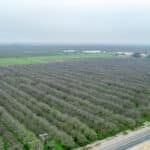 Photo 16 for 12394 Ave 184 Tulare