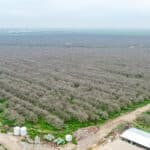 Photo 17 for 12394 Ave 184 Tulare