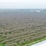 Photo 18 for 12394 Ave 184 Tulare