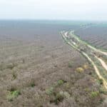 Photo 19 for 12394 Ave 184 Tulare