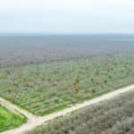 Photo 20 for 12394 Ave 184 Tulare