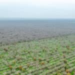 Photo 21 for 12394 Ave 184 Tulare