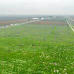 Photo 5 for Hwy 99 & Ave 184, Tulare