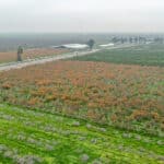 Photo 6 for Hwy 99 & Ave 184, Tulare