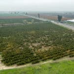 Photo 9 for Hwy 99 & Ave 184, Tulare