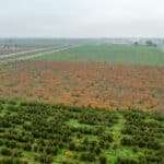 Photo 10 for Hwy 99 & Ave 184, Tulare