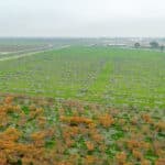 Photo 11 for Hwy 99 & Ave 184, Tulare