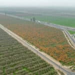 Photo 15 for Hwy 99 & Ave 184, Tulare