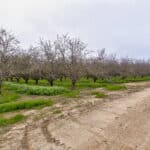 Photo 1 for Avenue 48 & Road 164, Earlimart