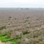 Photo 8 for Avenue 48 & Road 164, Earlimart