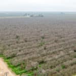 Photo 9 for Avenue 48 & Road 164, Earlimart