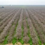 Photo 10 for Avenue 48 & Road 164, Earlimart