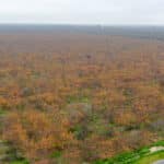 Photo 8 for Avenue 48 & Road 168, Earlimart