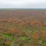 Photo 9 for Avenue 48 & Road 168, Earlimart