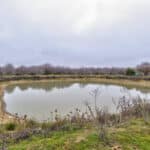 Photo 10 for Avenue 48 & Road 168, Earlimart