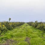 Photo 3 for Road 224 & Avenue 182, Porterville