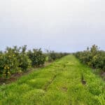 Photo 4 for Road 224 & Avenue 182, Porterville