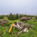 Photo 7 for Road 224 & Avenue 182, Porterville